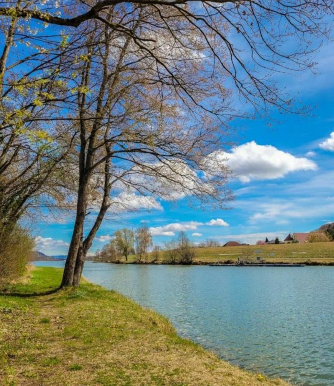Apartment An Der Donau Krumnussbaum ภายนอก รูปภาพ